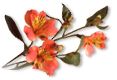 Alstroemeria