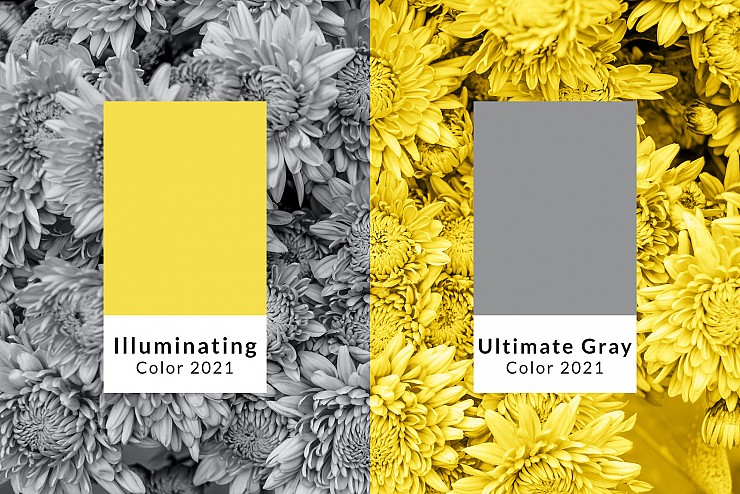Illuminating and Ultimate Grey are Colours of the Year for 2021