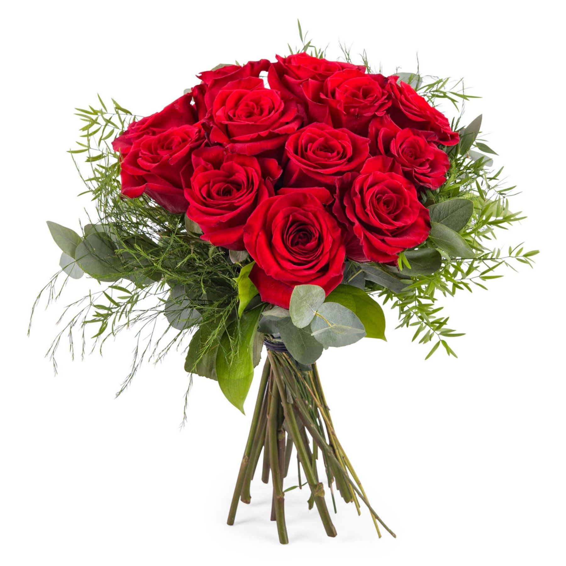 Dozen Roses Wrapped Canadiana Flowers