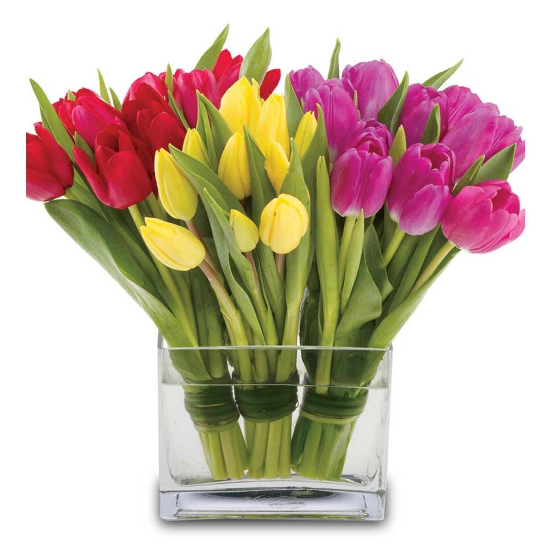 Tulip Trilogy from Canadiana Flowers - Toronto ON